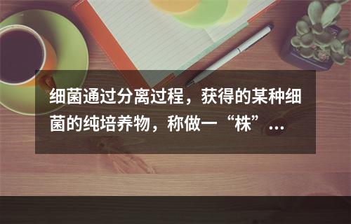 细菌通过分离过程，获得的某种细菌的纯培养物，称做一“株”该