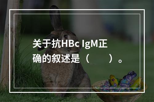 关于抗HBc IgM正确的叙述是（　　）。