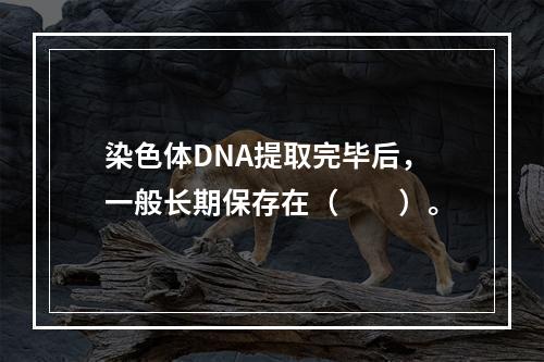 染色体DNA提取完毕后，一般长期保存在（　　）。