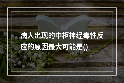 病人出现的中枢神经毒性反应的原因最大可能是()