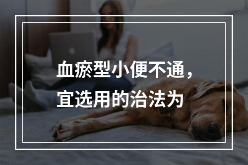 血瘀型小便不通，宜选用的治法为