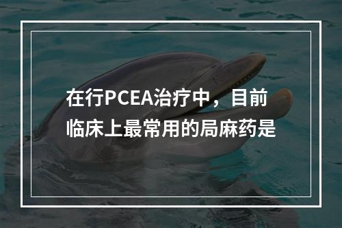 在行PCEA治疗中，目前临床上最常用的局麻药是