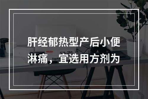 肝经郁热型产后小便淋痛，宜选用方剂为