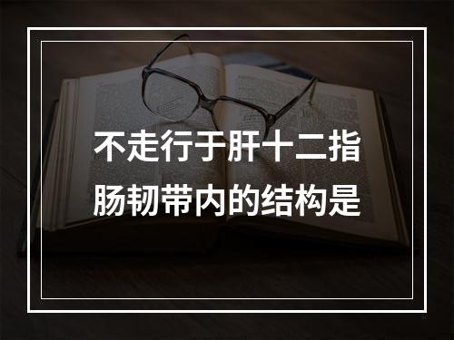 不走行于肝十二指肠韧带内的结构是