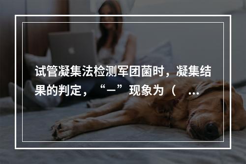 试管凝集法检测军团菌时，凝集结果的判定，“－”现象为（　　