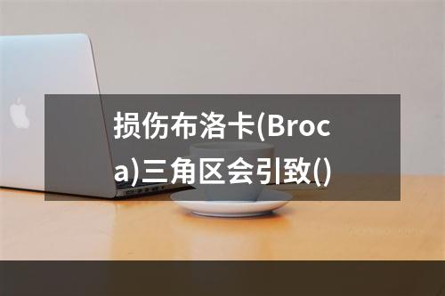 损伤布洛卡(Broca)三角区会引致()