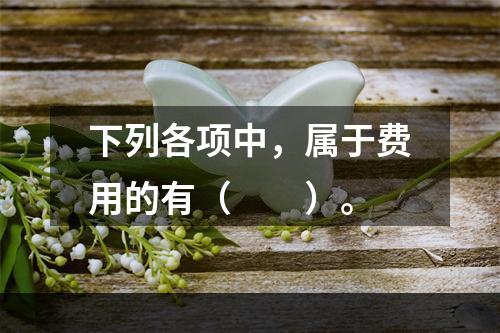 下列各项中，属于费用的有（　　）。