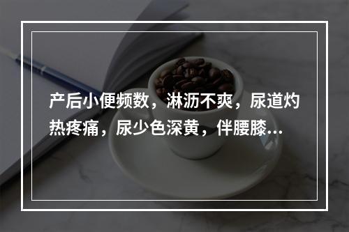 产后小便频数，淋沥不爽，尿道灼热疼痛，尿少色深黄，伴腰膝酸软