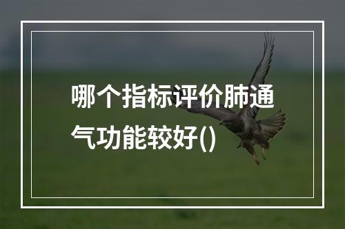 哪个指标评价肺通气功能较好()