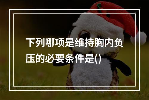 下列哪项是维持胸内负压的必要条件是()