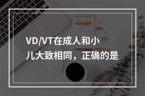 VD/VT在成人和小儿大致相同，正确的是