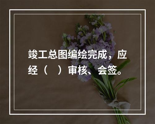 竣工总图编绘完成，应经（　）审核、会签。