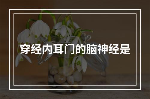 穿经内耳门的脑神经是