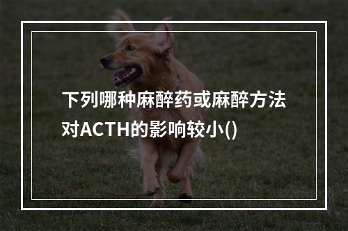 下列哪种麻醉药或麻醉方法对ACTH的影响较小()