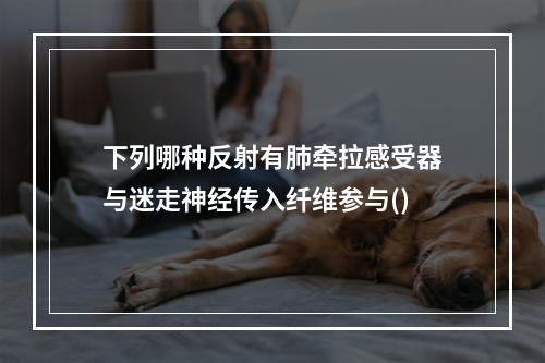 下列哪种反射有肺牵拉感受器与迷走神经传入纤维参与()