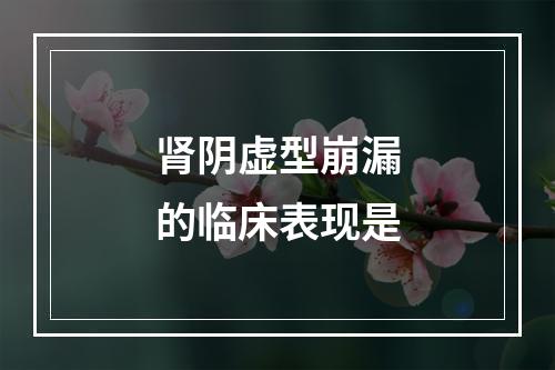 肾阴虚型崩漏的临床表现是