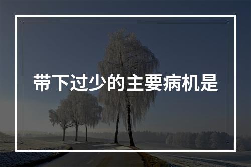 带下过少的主要病机是