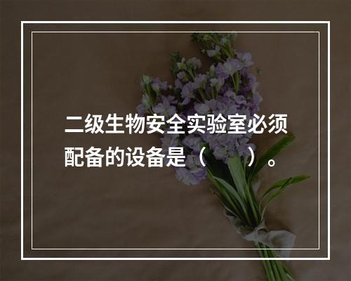 二级生物安全实验室必须配备的设备是（　　）。