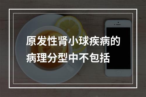 原发性肾小球疾病的病理分型中不包括