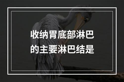 收纳胃底部淋巴的主要淋巴结是