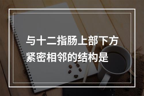 与十二指肠上部下方紧密相邻的结构是