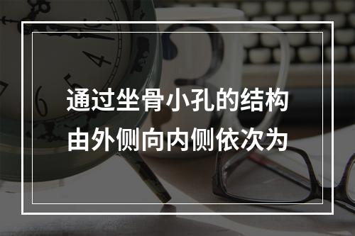 通过坐骨小孔的结构由外侧向内侧依次为