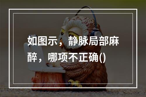 如图示，静脉局部麻醉，哪项不正确()