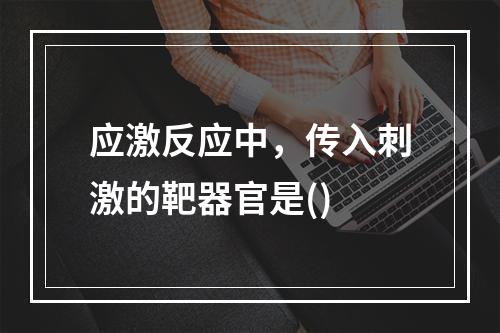 应激反应中，传入刺激的靶器官是()