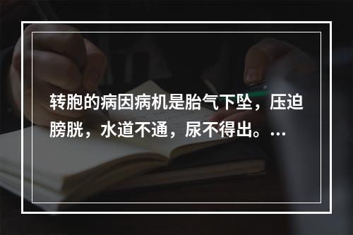 转胞的病因病机是胎气下坠，压迫膀胱，水道不通，尿不得出。临床