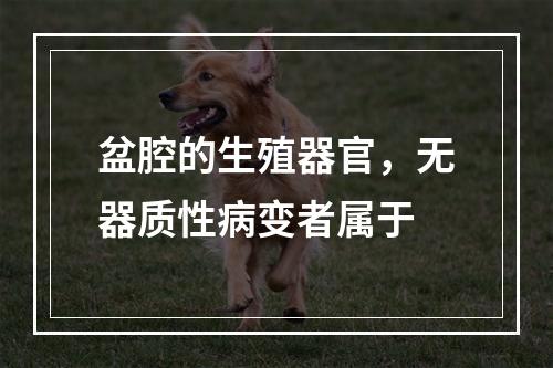 盆腔的生殖器官，无器质性病变者属于