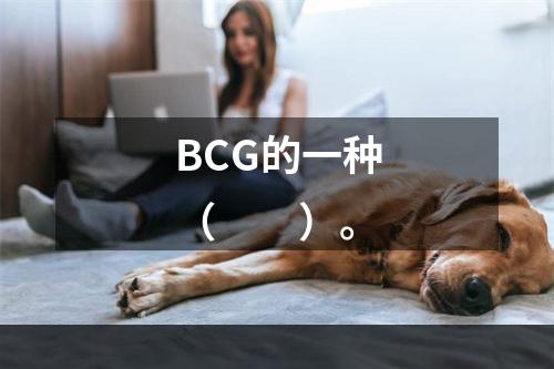 BCG的一种（　　）。