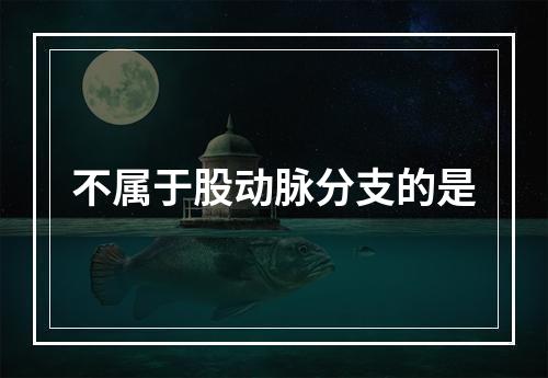 不属于股动脉分支的是