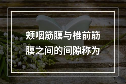 颊咽筋膜与椎前筋膜之间的间隙称为