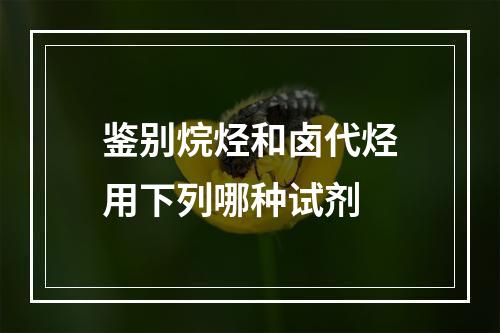 鉴别烷烃和卤代烃用下列哪种试剂