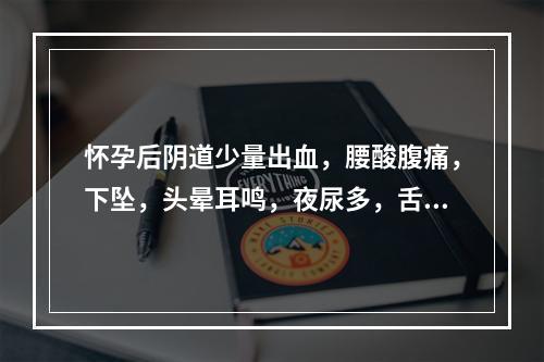 怀孕后阴道少量出血，腰酸腹痛，下坠，头晕耳鸣，夜尿多，舌淡暗