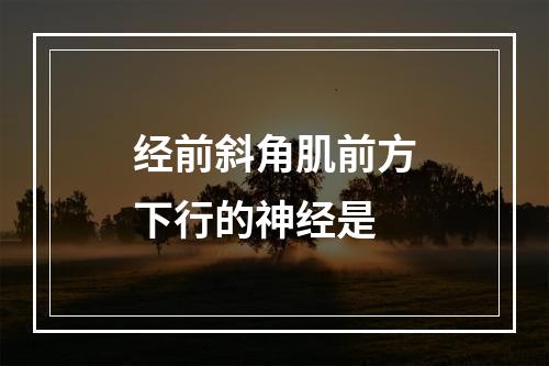 经前斜角肌前方下行的神经是