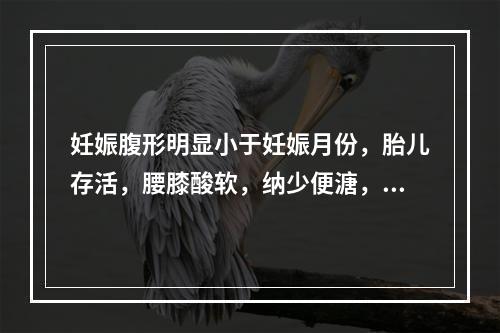 妊娠腹形明显小于妊娠月份，胎儿存活，腰膝酸软，纳少便溏，手足