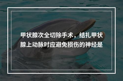 甲状腺次全切除手术，结扎甲状腺上动脉时应避免损伤的神经是