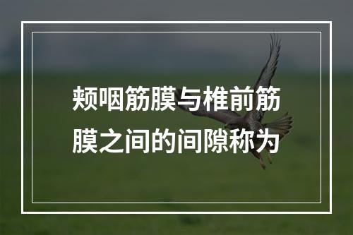 颊咽筋膜与椎前筋膜之间的间隙称为