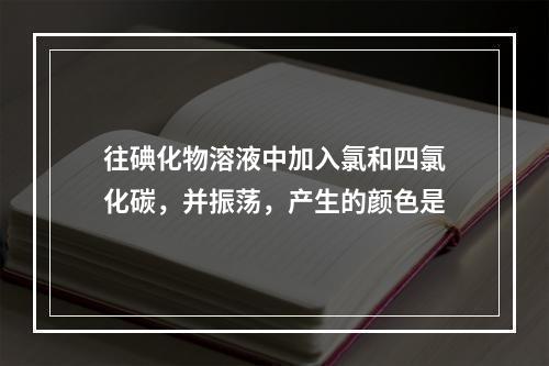 往碘化物溶液中加入氯和四氯化碳，并振荡，产生的颜色是