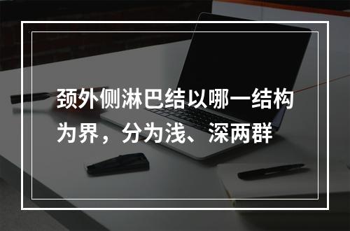 颈外侧淋巴结以哪一结构为界，分为浅、深两群