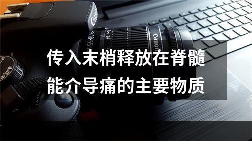 传入末梢释放在脊髓能介导痛的主要物质