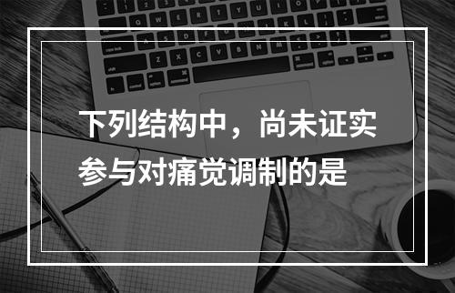 下列结构中，尚未证实参与对痛觉调制的是