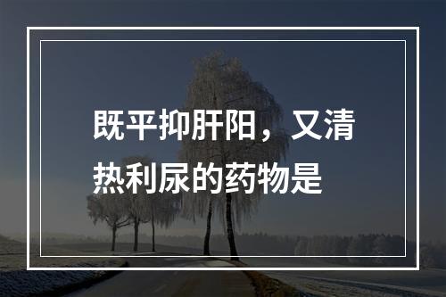 既平抑肝阳，又清热利尿的药物是