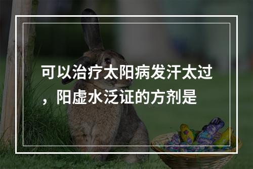 可以治疗太阳病发汗太过，阳虚水泛证的方剂是