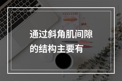 通过斜角肌间隙的结构主要有