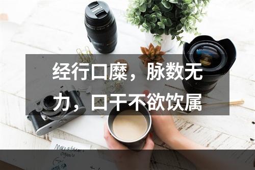 经行口糜，脉数无力，口干不欲饮属