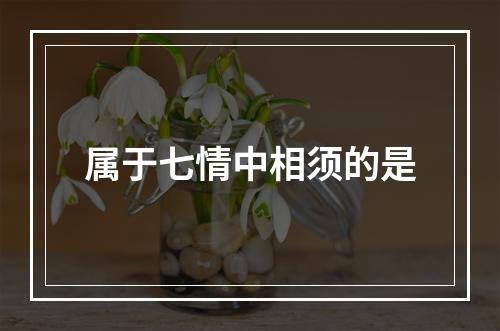 属于七情中相须的是