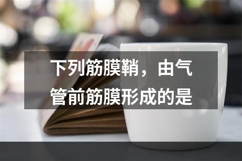 下列筋膜鞘，由气管前筋膜形成的是