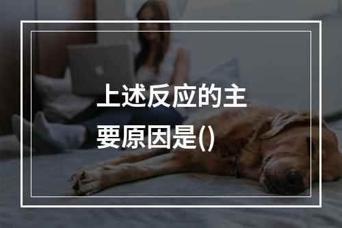 上述反应的主要原因是()